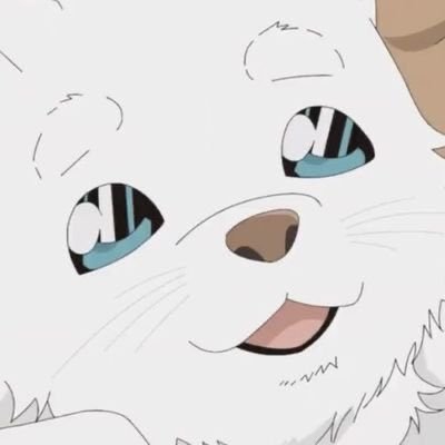 gusxk0202's profile picture. https://t.co/FKjcw9TQbT