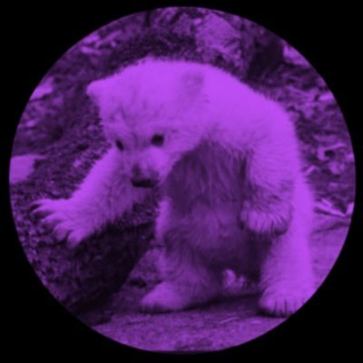 bornofwhispers's profile picture. 25 | Thought Husband | Adopting Father | 42% Bear, very tired | Voice Actor l Writer | Final year Medic | Poet | Yearner — I do cool stuff when I can.