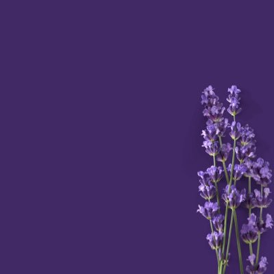 DiisneyM's profile picture. Escobar | I talk a lot about being a coastal girl, it is my entire personality 🤝