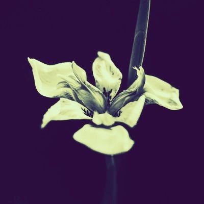 Longgodgd's profile picture. COMEDY 
MEMES
QUOTES 
HYPOTHETICAL QUESTIONS
ANYTHING IN-BETWEEN