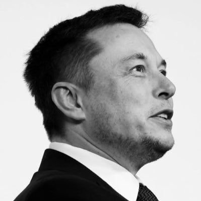 ElonInvestor4's profile picture. Not the CEO of Tesla Motors. Not the CTO of SpaceX. Tap the ( - notify) for daily quizzes and updates. No affiliation. (Parody)🚀 🚀