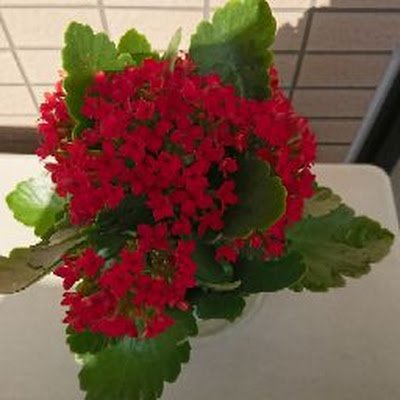 ouy920341441634's profile picture. 