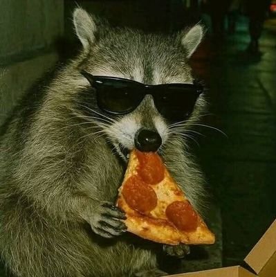 doughnutlord_'s profile picture. Instagram: @imaross__