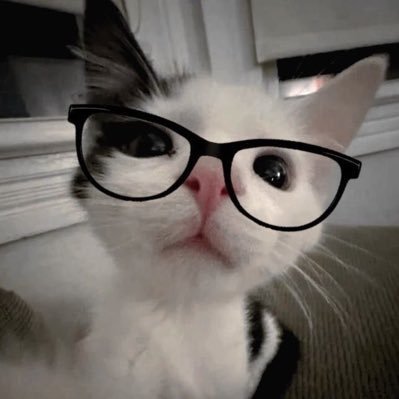 RavesThots's profile picture. Mathematics