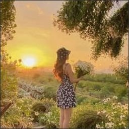 Vrosiew599's profile picture. 