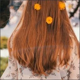 Harawna238950's profile picture. 