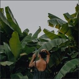 Roxalp280's profile picture. 