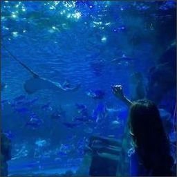 Queeco164025's profile picture. 