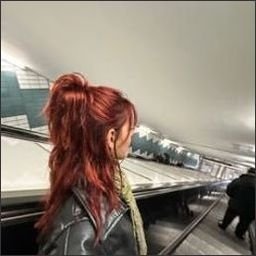 Luiorir158907's profile picture. 