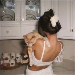 Iedioxeer91171's profile picture. 