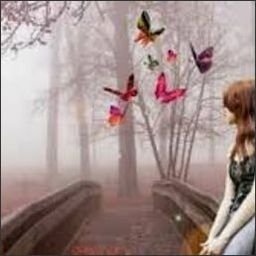 fruekel69296's profile picture. 