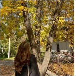 Akioojod316's profile picture. 