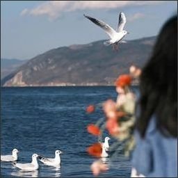 Dralawxou614's profile picture. 