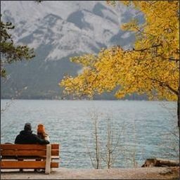 Tooirhord2389's profile picture. 