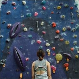 halgeq47885's profile picture. 