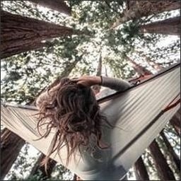 Boogic561528's profile picture. 