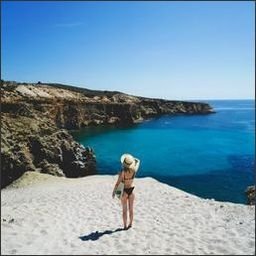 Xarsor49567's profile picture. 