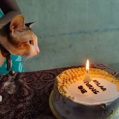 Im_Peaceboy's profile picture. ᴘʀᴏᴜᴅ ᴄᴀᴛᴅᴀᴅ 🐾 | ғᴀᴛʜᴇʀ ᴛᴏ ᴛʜʀᴇᴇ ғᴇʟɪɴᴇ ϙᴜᴇᴇɴs : #ɪsᴀɪ 🎵 #ᴀʀᴜᴠɪ 🌊 #ɴɪʟᴀᴀ 🌕                    
ᴇᴠᴇʀʏ ʟɪғᴇ ᴄᴏᴜɴᴛs, ᴇᴠᴇʀʏ ʟɪғᴇ ɪs ᴇϙᴜᴀʟ        #TVK