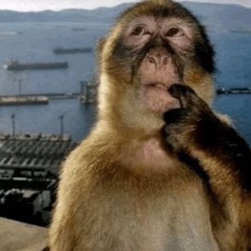 goldwingcd's profile picture. 