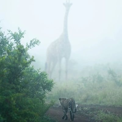 BwayoMark's profile picture. Born Again. Civil Engineer. Father.

 The Grace of Our Lord Jesus Christ, The Love of God And the fellowship of the Holy Ghost. Has appeared to all men