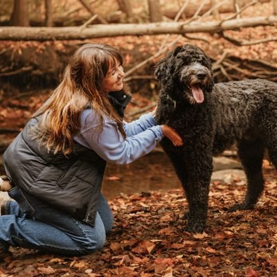 habaninski's profile picture. Shenanigans