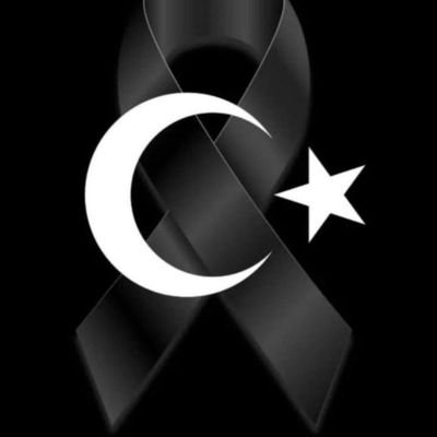 Galatasaray8742's profile picture. TK.Müfettiş TÜRK/memleket meselesi ve futbol