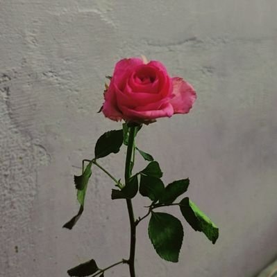 Garima_456's profile picture. Follow me and get follow back 💞💯💯💞💯💞💯💞💯💞💯💯💞💯💞💯💞💯💞💯💯💞💯💞💯💞💯💞💯💞💯💞💯💯💞💯💯💞💯💞💯💞💯💞💯💞💯💞💯💞💯💞💯💞💯💞💯💞💯💯💞💯💞