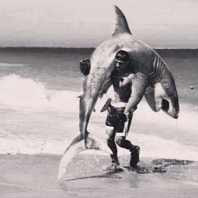 PrivacyGCR's profile picture. @arcium