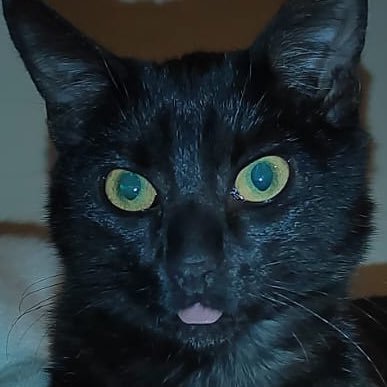 Menaugesantoine's profile picture. 