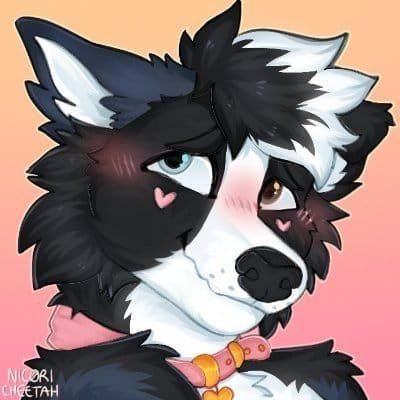 black_wolfie90's profile picture. My old account got suspended, so this is my  new account. everyone please follow me back here....