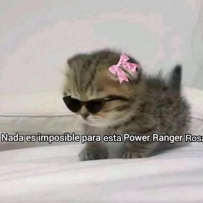 _MilanesaDeSoja's profile picture. Acostumbrada a las putas