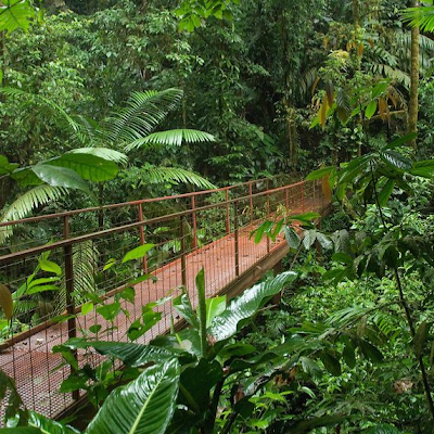 MuriukiNje31047's profile picture. 