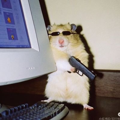 Criticalway_'s profile picture. weaving words ✨ Observing life's chaos