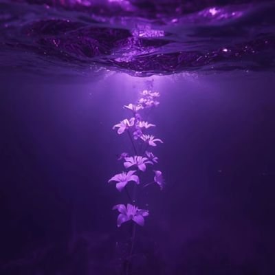 tm_patience's profile picture. Sleepy head😴▪ Graduate📚▪25🦋▪ARMY💜▪Kim Namjoon (RM)🐨▪OT7😍 ▪-🌻... Just a sleepy girl with a really busy schedule🖤...