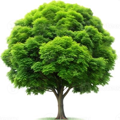 The_Tree_coin's profile picture. Trees are the longest living organisms on Earth, and never die of old age. This is a long time coin, join the Tree coin!