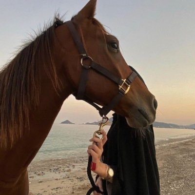 Asoorti1's profile picture. 