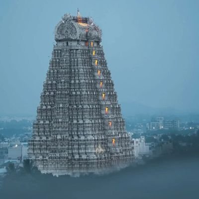 Ashling95's profile picture. 