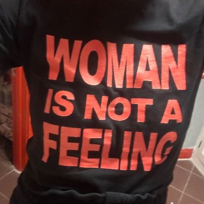 ironbridle's profile picture. 