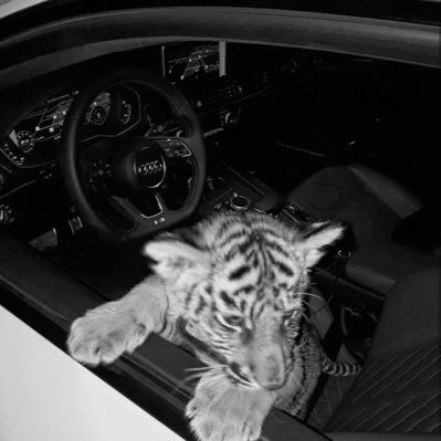 Gunhify's profile picture. 