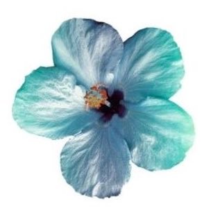 missomar2k25's profile picture. PGCE Student Teacher | UWTSD | Passionate about nurturing curiosity, consistency & care💙