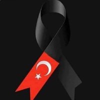 Sengul (@sengul425150920) 's Twitter Profile Photo