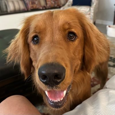 Broccoli_bob's profile picture. Retired engineer, avid golfer,  Maverick’s dad with a wife and 3 “real” kids