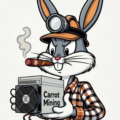 CarrotMining's profile picture. "Courage is in much shorter supply than Genius” Professional ₿itcoin Miner, Full-Stack Engineer $BTC