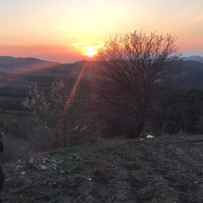 NevzatArslksuq's profile picture. 