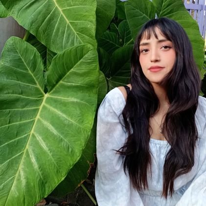 nubedemarzo's profile picture. 