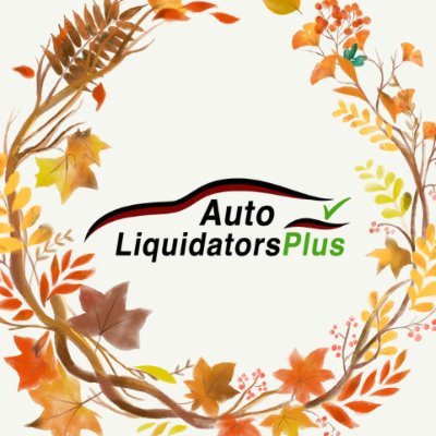 AutoLiquidator's profile picture. With so many places to go in #Texas, you're going to need a reliable vehicle! We can help finance your future. Call us today at (972) 362-1144