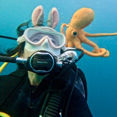 billie32522505's profile picture. The meaning of life is not in the moments that end, but in how we create beauty and meaning in each moment.  No porn🚫