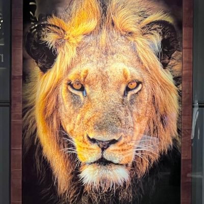 iurii_faang's profile picture. Author of my own story