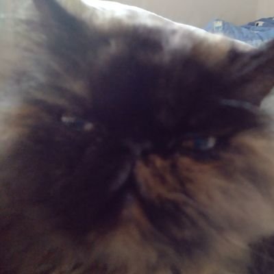 GBaaakk's profile picture. 