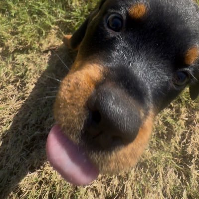 Itzusermj's profile picture. Army | #MFFL